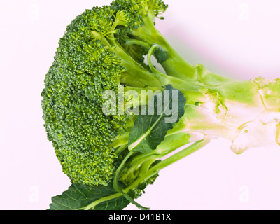 Fresh broccoli, Brassica oleracea var. italica, isolated on white background Stock Photo