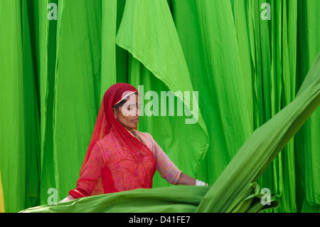 India, Rajasthan, Sari Factory, Textile are dried in the open air. Collecting of dry textile by Misri, 30 years old. The textile Stock Photo
