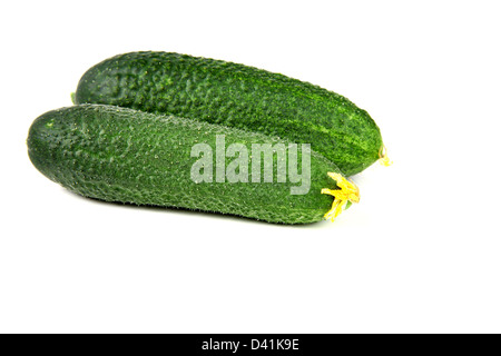 Freshness two cucumbers on white background Stock Photo