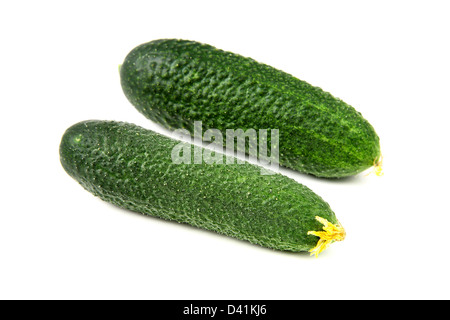 Two cucumbers on white background Stock Photo