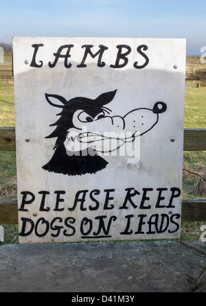 Sign to keep dogs on a lead because of lambs on a public footpath, Yorkshire, UK Stock Photo