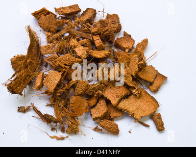 Chopped coconut coir isolated on white background Stock Photo