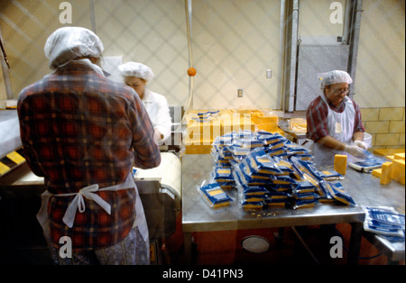 Salt Lake City Utah USA Welfare Square - Bishop's Storehouse - Volunteers Cheese Packaging Stock Photo