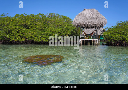 Palapa over the sea between islets of mangrove, and hard coral just under water surface in foreground Stock Photo