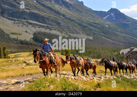 Horseback Riding Glacier National Park Montana MT US Stock Photo