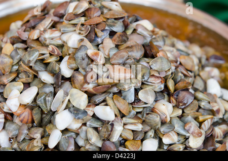 pickled banded wedge shell in market , Thailand Stock Photo