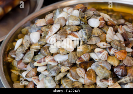 Preserved Razor clam for sale in market of Thailand Stock Photo