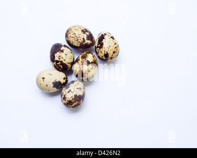 Quail eggs isolated on white background Stock Photo