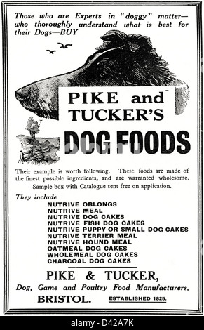 Original 1920s vintage print advertisement from English country gentleman's newspaper advertising dog food by Pike & Tucker of Bristol Stock Photo