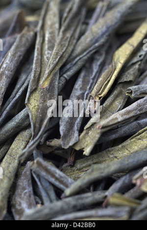 Berlin, Germany, Chinese, green tea Stock Photo