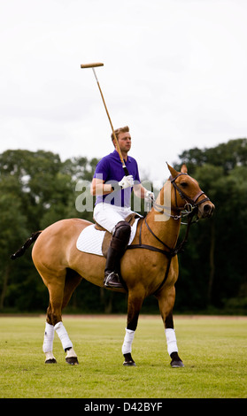 Polo player sitting with mallet on horseback Stock Photo