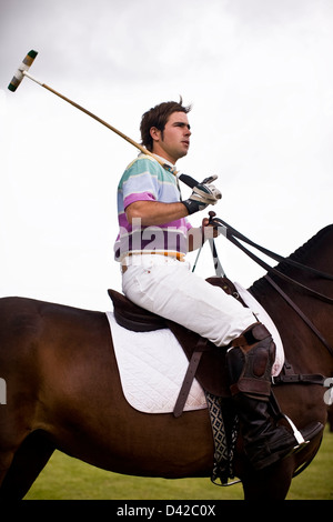Polo player sitting on horseback with mallet over shoulder Stock Photo