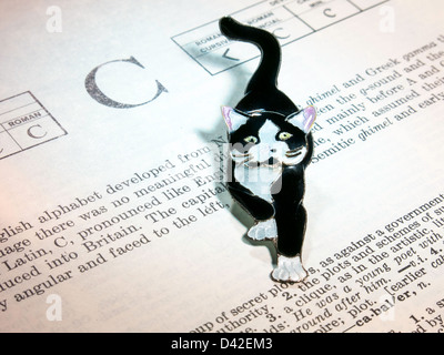 The Letter C In the Dictionary with Black and White Cat, Still Life Stock Photo