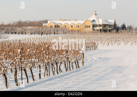 Canada,Ontario,Niagara-on-the-Lake Ontario, Peller Estate Winery in winter Stock Photo