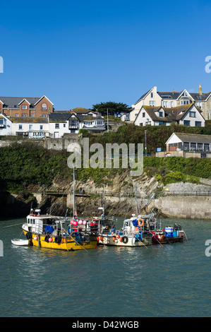 Fishing boats moored in Newquay Harbour. Stock Photo
