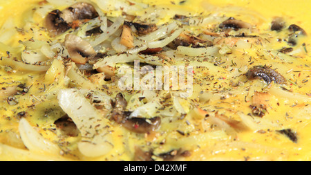 Mushroom and Onion Omelet Stock Photo