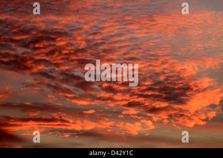 Stratus clouds reflecting the sunrise Stock Photo