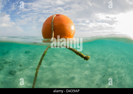 A buoy half in and half out of the water in the Red Sea, Egypt. Stock Photo