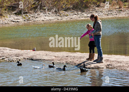 Mother and daughter feeding ducks from sandbar in small river Stock Photo