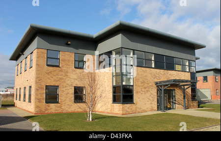 Exterior of spacious modern office building to let with sign. Empty building. Stock Photo