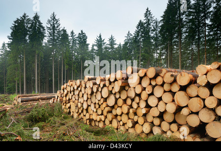Stack of Spruce Logs, Odenwald, Hesse, Germany Stock Photo