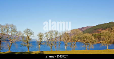 LOCH NESS AND TREES NEAR FORT AUGUSTUS ON AN EARLY SPRING DAY IN THE HIGHLANDS OF SCOTLAND Stock Photo