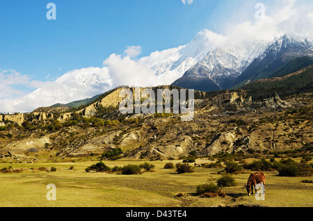 Nilgiri Himal View From Jomsom, Annapurna Conservation Area, Mustang District, Dhaulagiri, Pashchimanchal, Nepal Stock Photo