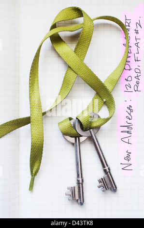Skeleton Keys on Shoelace Stock Photo