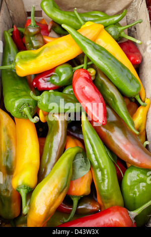 Variety of Hot Peppers at Market, Biarritz, Pyrenees-Atlantiques, Aquitaine, France Stock Photo