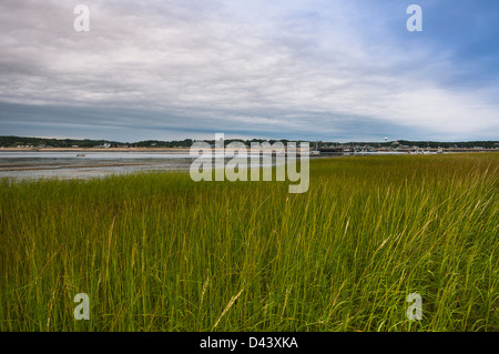 Wellfleet Town Pier, Cape Cod, Massachusetts, USA Stock Photo