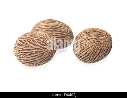 Cerbera suicide's seed or Pong Pong seed isolated on white Stock Photo