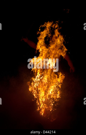 Large flames of forest fire Stock Photo