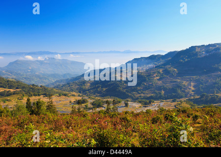 Landscape of rice terraces in autumn Stock Photo