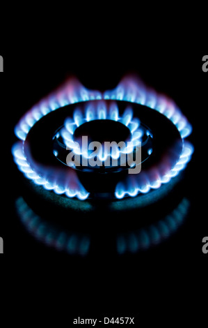 Gas flame on a cooker stovetop ring Stock Photo