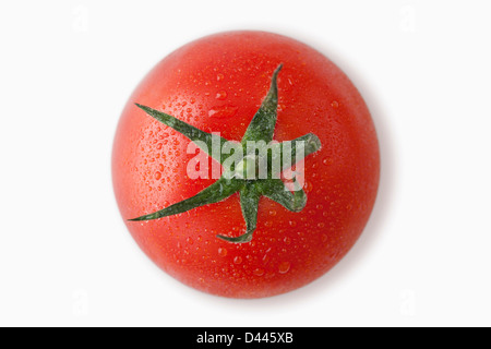 Tomato with dew on a white background, cut out, overhead Stock Photo