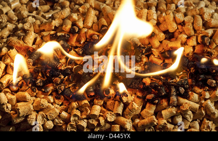 Burning biomass wood pellets used as a form of renewable energy Stock Photo