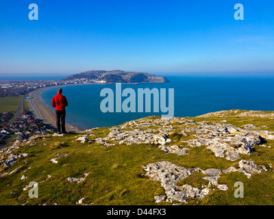 Man enjoying view from the Little Orme towards Llandudno and the Great Orme a  headland on the Conwy coast North Wales UK Stock Photo