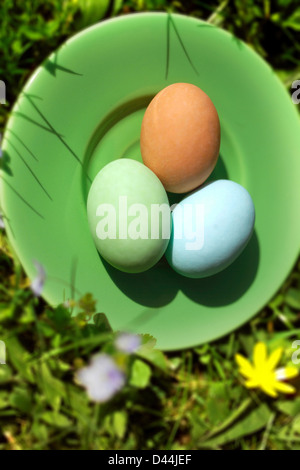 pastel coloured chocolate easter eggs on a green plate Stock Photo
