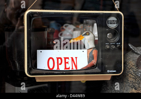 Quirky Open sign with seagull in cafe window Brighton UK Stock Photo