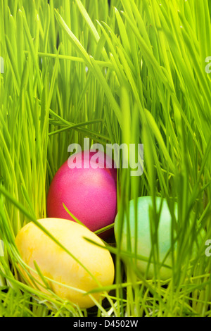 Three beautiful color Easter eggs in green spring grass Stock Photo