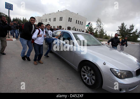 March 5, 2013 - Ramallah, West Bank, Palestinian Territory - Palestinian students from Birzeit University attack the vehicle of Vincent Finn, British Consul General in Jerusalem, after he was forced to leave Birzeit University Campus in the West Bank city of Ramallah on March 5, 2013. Dozens of Angry Students Protest Against Fean' Visit, Pushed him to his car and kicks his car by their hands and legs after being forced to cancel a lecture in the Campus, the Protest Against British silence from Palestinian prisoners hunger strike and their public support to Israel, Protesters Said  (Credit Imag Stock Photo