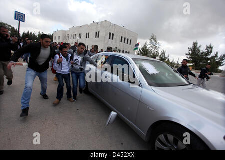 March 5, 2013 - Ramallah, West Bank, Palestinian Territory - Palestinian students from Birzeit University attack the vehicle of Vincent Finn, British Consul General in Jerusalem, after he was forced to leave Birzeit University Campus in the West Bank city of Ramallah on March 5, 2013. Dozens of Angry Students Protest Against Fean' Visit, Pushed him to his car and kicks his car by their hands and legs after being forced to cancel a lecture in the Campus, the Protest Against British silence from Palestinian prisoners hunger strike and their public support to Israel, Protesters Said  (Credit Imag Stock Photo