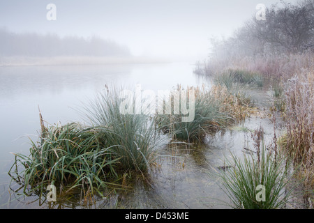A cold, foggy morning in winter at a pond in North Lincolnshire, England. February 2013. Stock Photo