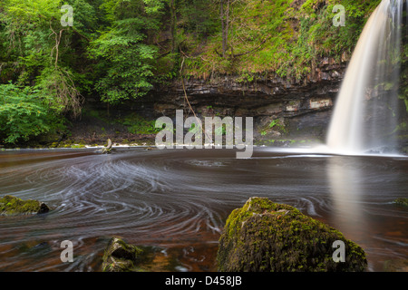 Sgwd Gwladys or Lady Falls, Afon Pyrddin near Pontneddfechan, Brecon Beacons National Park, Powys, Wales, UK, Europe. Stock Photo