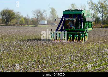 Cotton Field Being Harvested Mississippi Stock Photo