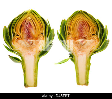 Two halves of the same artichoke misted with water and isolated on white. Stock Photo