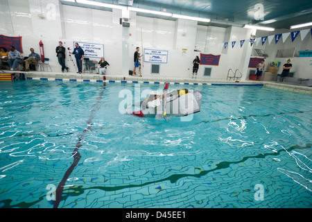Hundreds of students from Brooklyn Technical High School take part in the Cardboard Boat Regatta Stock Photo