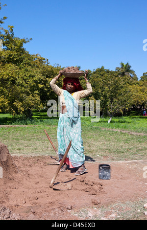 A traditionally dressed Indian woman carrying cement at Pinjore Gardens in the  Indian state of Haryana. Stock Photo