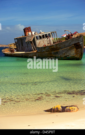 A derelict boat beached on New Island in the Falklands Stock Photo