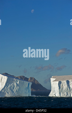 Huge tabular icebergs in the south Atlantic Ocean near the entrance to Drygalski Fjord in South Georgia Stock Photo